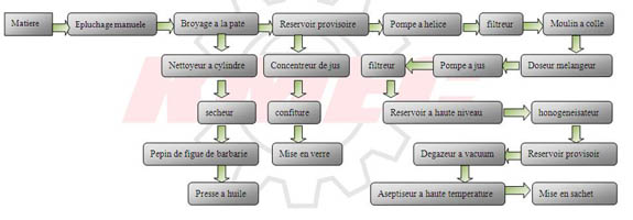 processus de traitement figue de barbarie